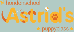 Puppytraining